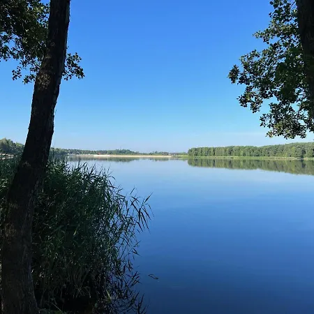 Family & Business Sauna Teznia Apartments: Luxurious Forest Retreat with Spa Amenities Kielce Exterior photo
